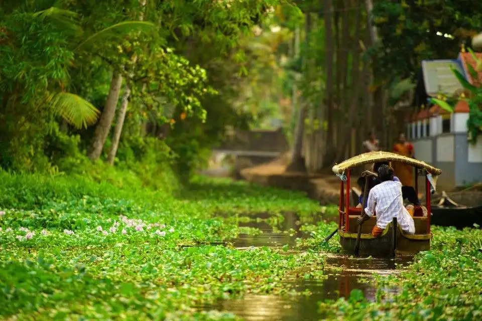 Canoeing experience in Alleppey village